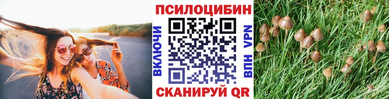 Галлюциногенные грибы прущие грибы  дарк нет телеграм  Обоянь 